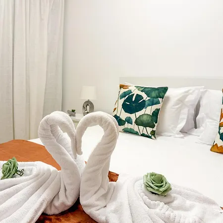 Rocha Pool Modern Vogue Appartement