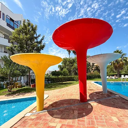 Rocha Pool Modern Vogue